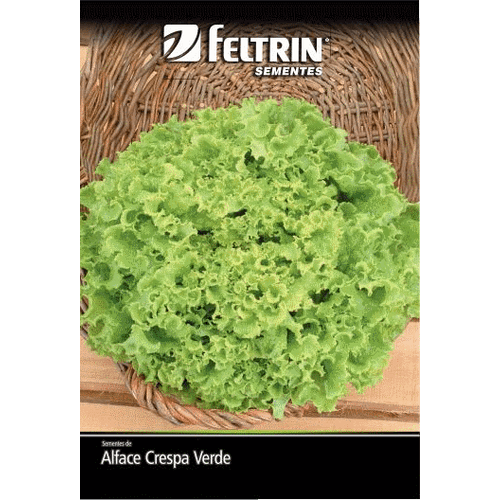 SEMENTE-FELTRIN-1EV-ALFACE-CRESPA SEMENTE-FELTRIN-1EV-ALFACE-CRESPA