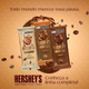 Chocolate-com-Pedacos-de-Cafe-Caramel-Macchiato-Cafe-com-Leite-e-Caramelo-Hershey-s-Coffee-Creations-Pacote-85g