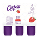 Iogurte-Polpa-Corpus-Morango-540g