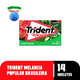 Goma-de-Mascar-Melancia-Zero-Acucar-para-Dietas-de-Ingestao-Controlada-de-Acucares-Trident-Caixa-252g-14-Unidades-Leve-Mais-Pague-Menos