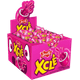 CHICLE-RECH-DOCILE-ZOAH-240G-DY-C40-T-FRUTTI