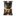 Batata-Frita-Lisa-Peito-de-Peru-Lay-s-Sensacoes-Premium-Pacote-40g