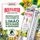 Bebida-Mista-Alcoolica-Lemon--amp--Ginger-Beefeater-Botanics-Garrafa-750ml
