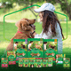 Alimento-para-Caes-Adultos-Racas-Minis-e-Pequenas-Carne-Frango-e-Arroz-Purina-Dog-Chow-Extra-Life-Pacote-1kg