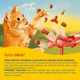 PETISCO-FRISKIES-40G-SACHE-FRANGO