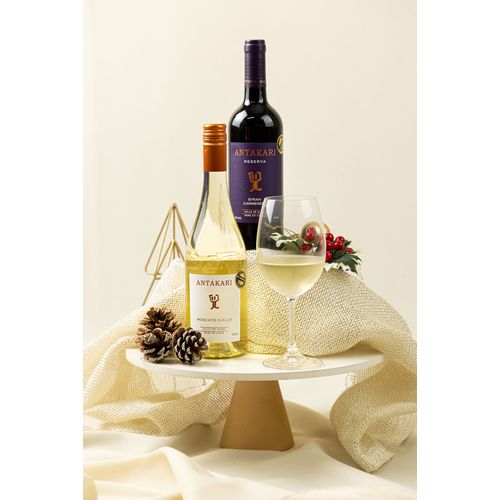 Kit-de-Vinhos-Chilenos