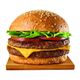 Hamburguer-bovino-Seara-672g Hamburguer-bovino-Seara-672g