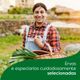 Caldo-Knorr-Zero-Sal-Carne-48g-6-cubos