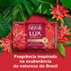 Sabonete-em-Barra-LUX-Essencias-do-Brasil-Bromelia-100-g