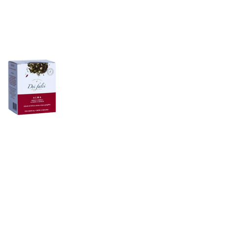 CHA-ORGANICO-DO-CHICO-ALMA-56G